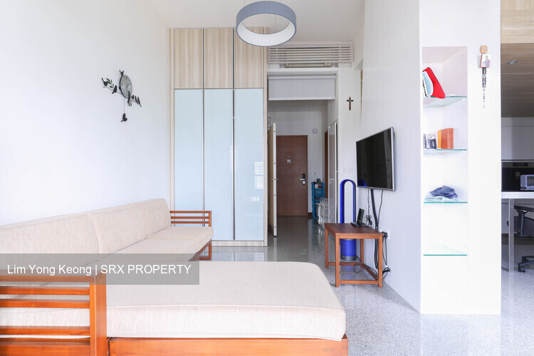 SeaHill (D5), Condominium #489784921